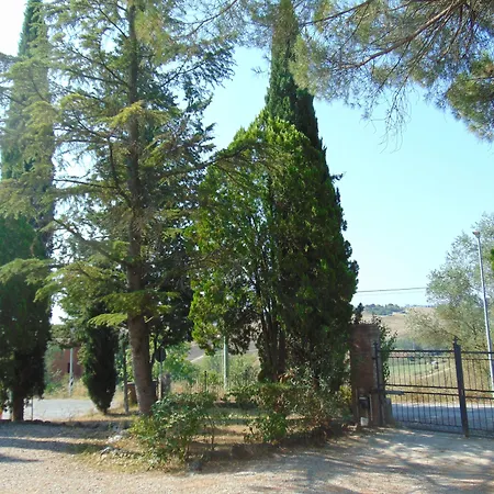 Bed and Breakfast Casa Cecchi