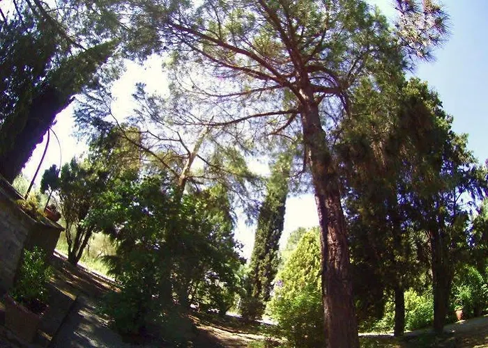 ベッド・アンド・ブレックファスト Casa Cecchi Val di Pugna