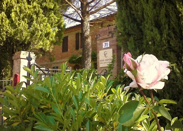Bed & Breakfast Casa Cecchi 3*